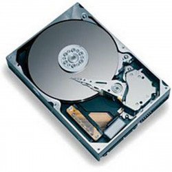 Хард диск MAXTOR 300GB 7200 16MB SATA II