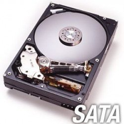 Хард диск SEAGATE 250GB 7200 8MB SATA