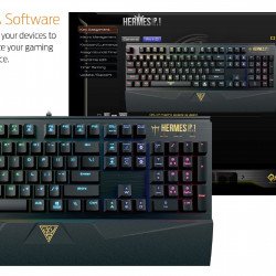 Клавиатура GAMDIAS Геймърска клавиатура Gaming Keyboard Mechanical 104 keys - HERMES P1 RGB