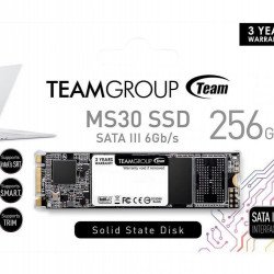 SSD Твърд диск TEAM GROUP MS30 M.2 2280 256GB SATA III