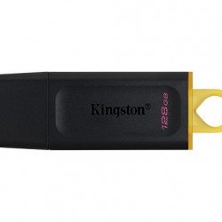 USB Преносима памет KINGSTON 128GB USB3.2 DTX KINGSTON
