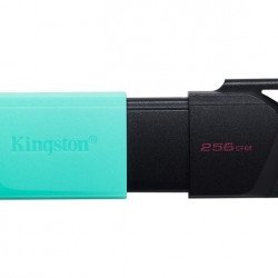 USB Преносима памет KINGSTON 256GB DataTraveler Exodia M