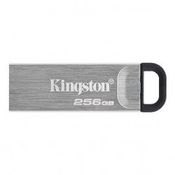 USB Преносима памет KINGSTON 256GB USB3 KINGSTON DTKN