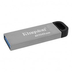 USB Преносима памет KINGSTON 256GB USB3 KINGSTON DTKN