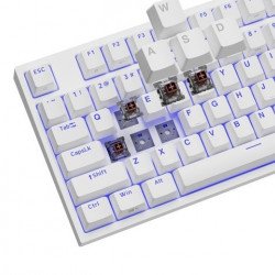 Клавиатура GENESIS Gaming Keyboard Thor 404 TKL White RGB Backlight US Layout Brown Switch