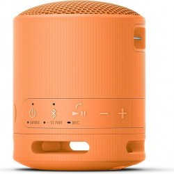 Колонка SONY SRS-XB100 Portable Bluetooth Speaker, orange